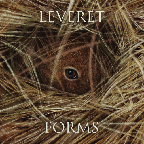 Leveret Forms. Album review by Tim Cumming